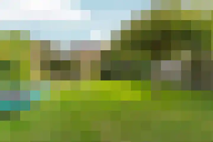 Perron 5 Gennep thumbnail 28