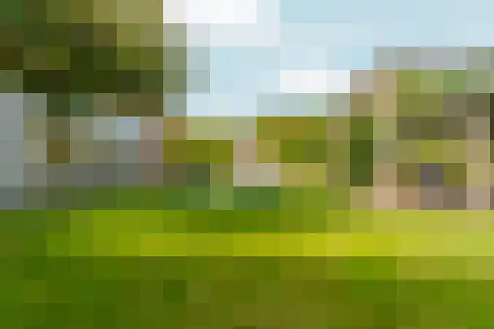 Perron 5 Gennep thumbnail 30