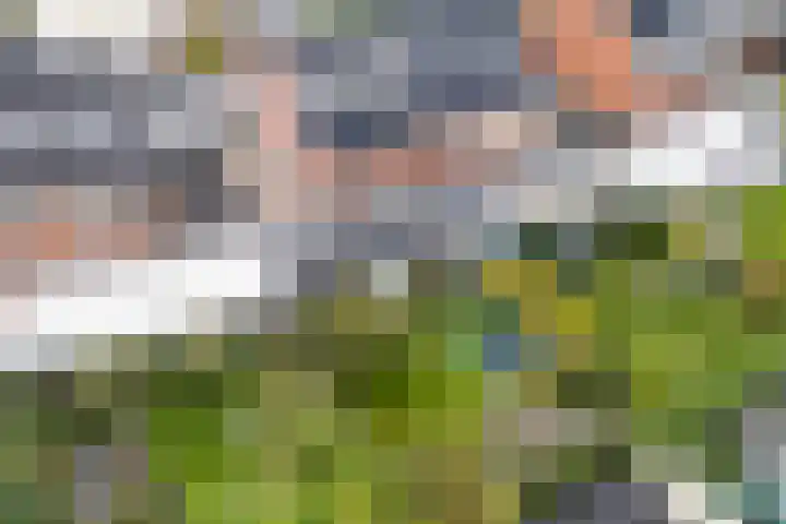 Perron 5 Gennep thumbnail 33