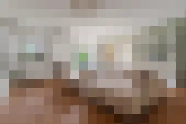 Perron 5 Gennep thumbnail 6