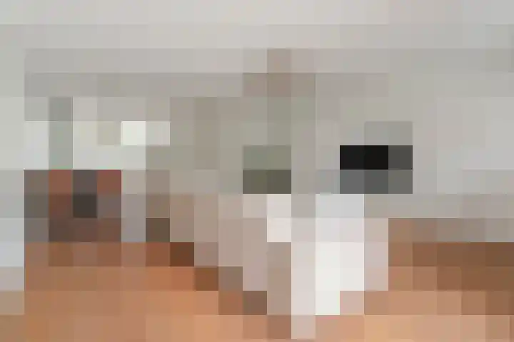 Perron 5 Gennep thumbnail 7