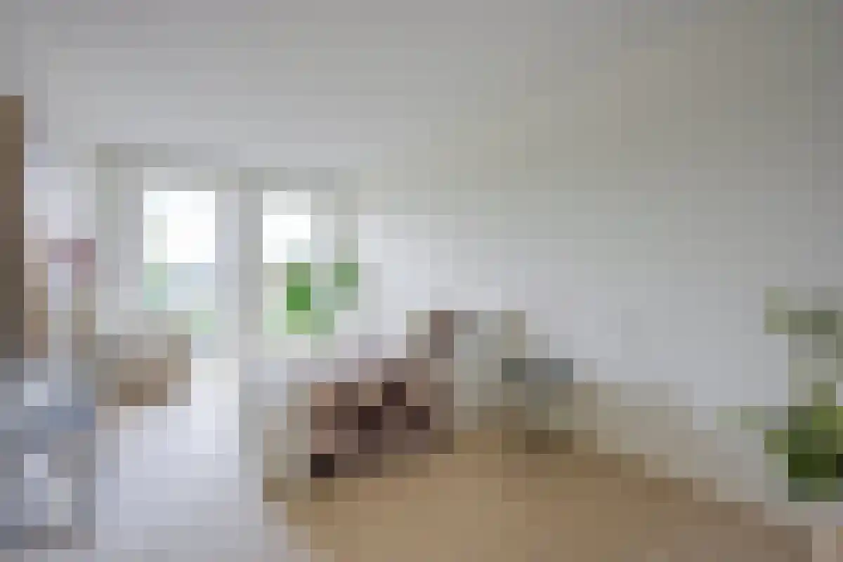 Perronlaan 202 Utrecht thumbnail 5