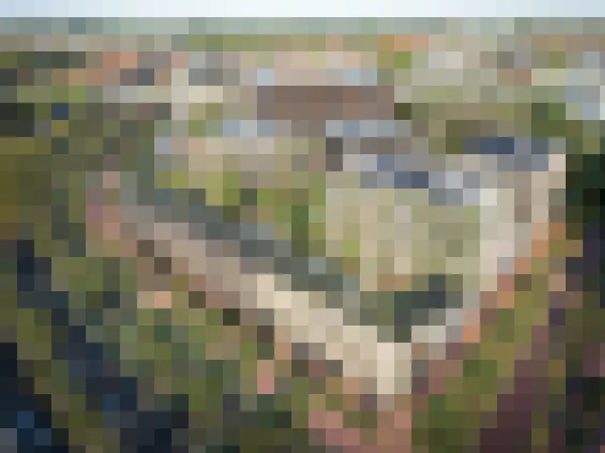 Perronlaan 210 Utrecht thumbnail 6