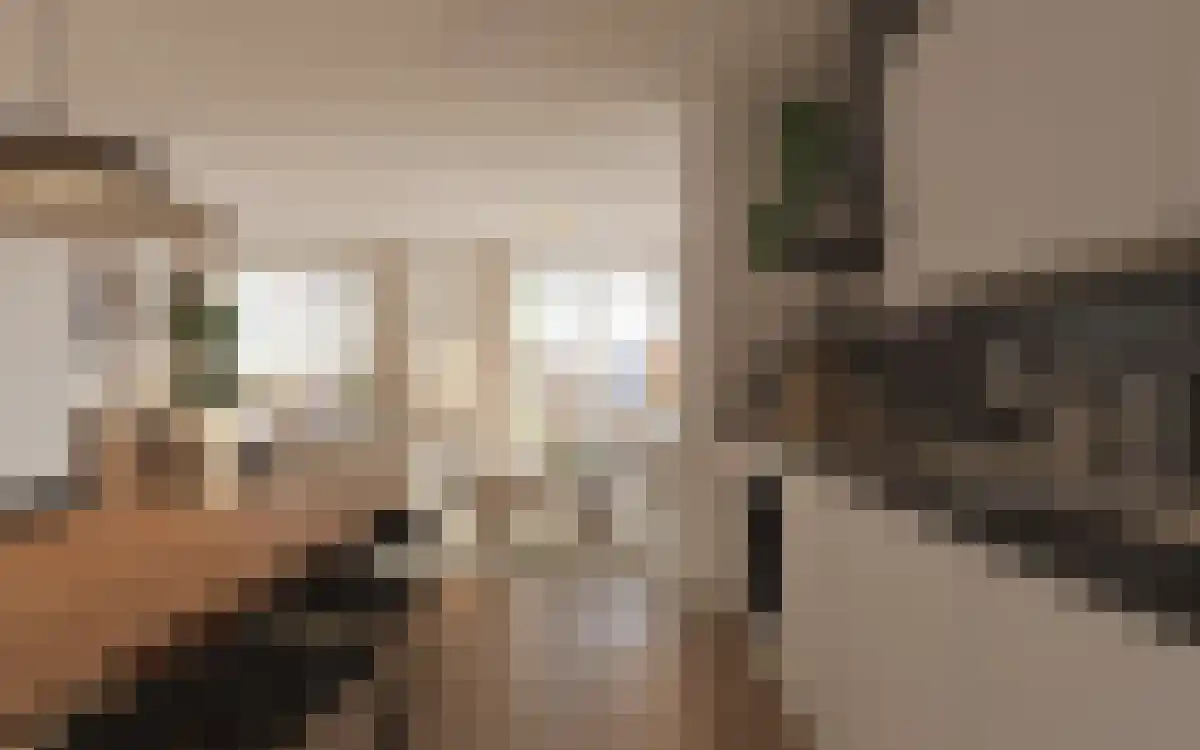 Perronlaan 216 Utrecht thumbnail 6