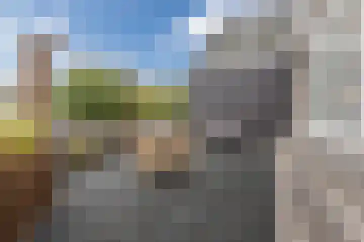 Perronstraat 12 Alkmaar thumbnail 4