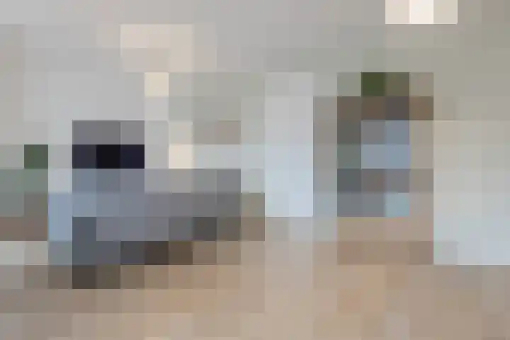 Perronstraat 12 Alkmaar thumbnail 9
