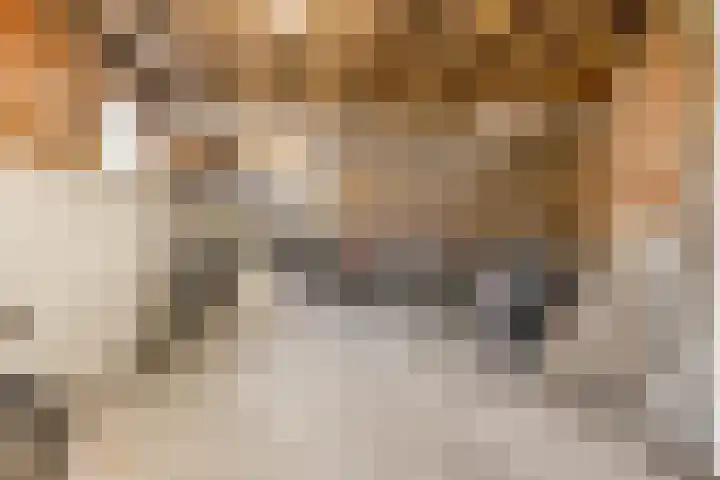 Perronstraat 16 Alkmaar thumbnail 20