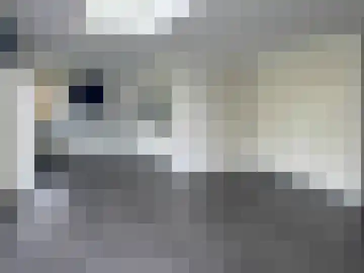 Perronzijde 11 Aalsmeer thumbnail 7