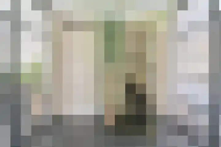 Perseus 5 Hoogeveen thumbnail 15