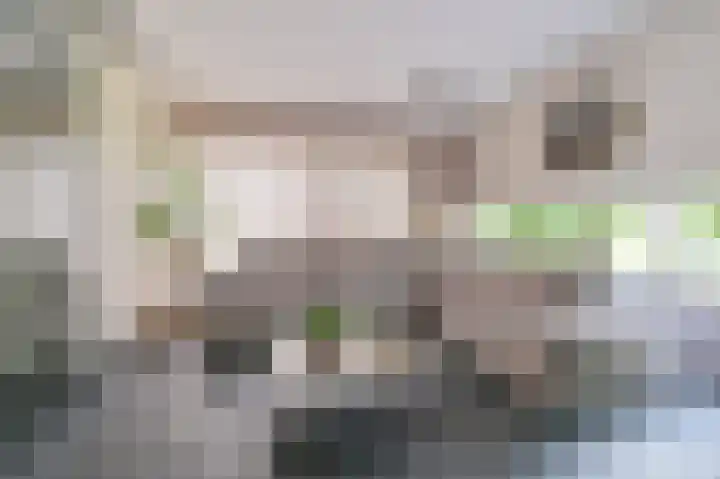 Perseus 5 Hoogeveen thumbnail 20