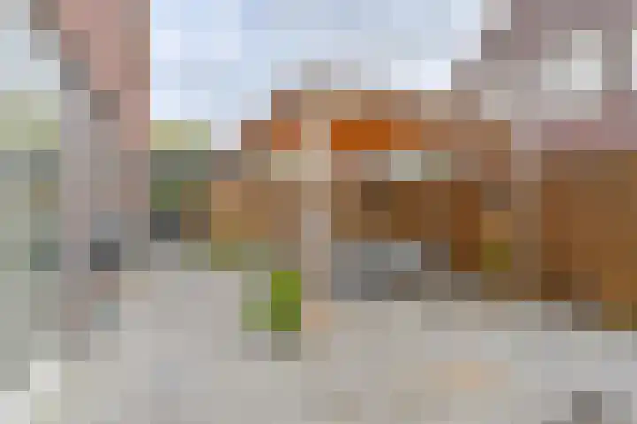 Perseus 5 Hoogeveen thumbnail 5