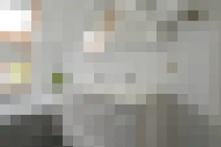 Perseus 5 Hoogeveen thumbnail 52