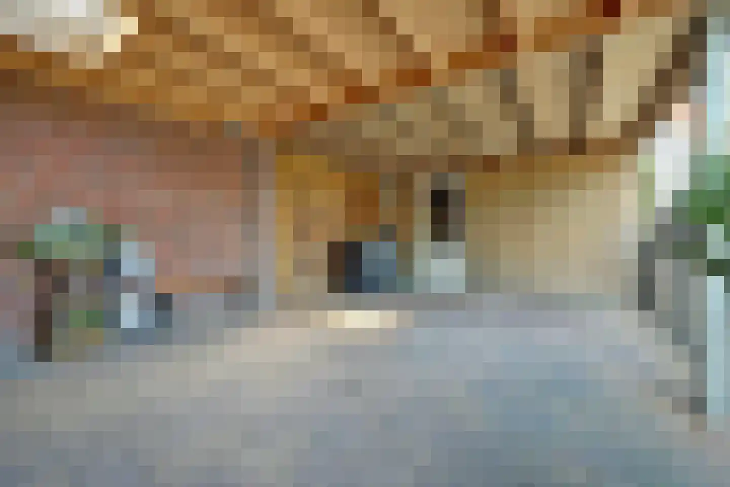 Perseus 7 Hoogeveen thumbnail 9