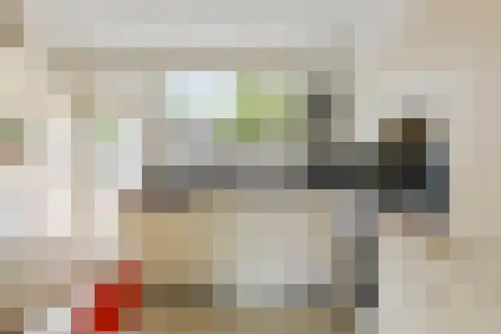Perseuslaan 26 Eindhoven thumbnail 15