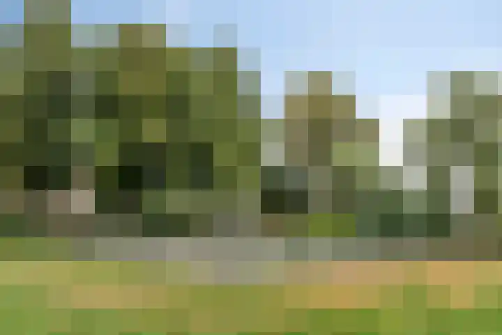 Perseuslaan 26 Eindhoven thumbnail 36