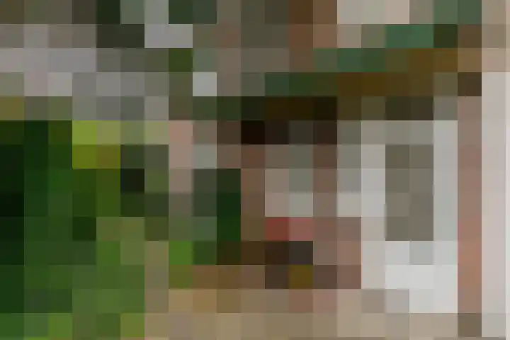 Perseusstraat 11 Haarlem thumbnail 21