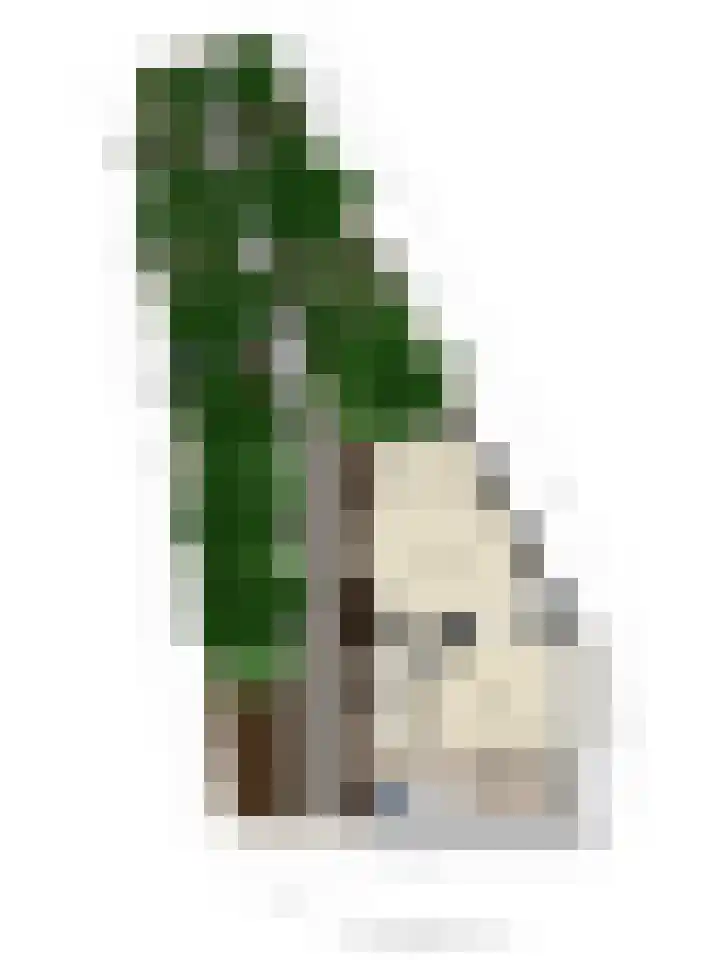 Perseusstraat 11 Haarlem thumbnail 29