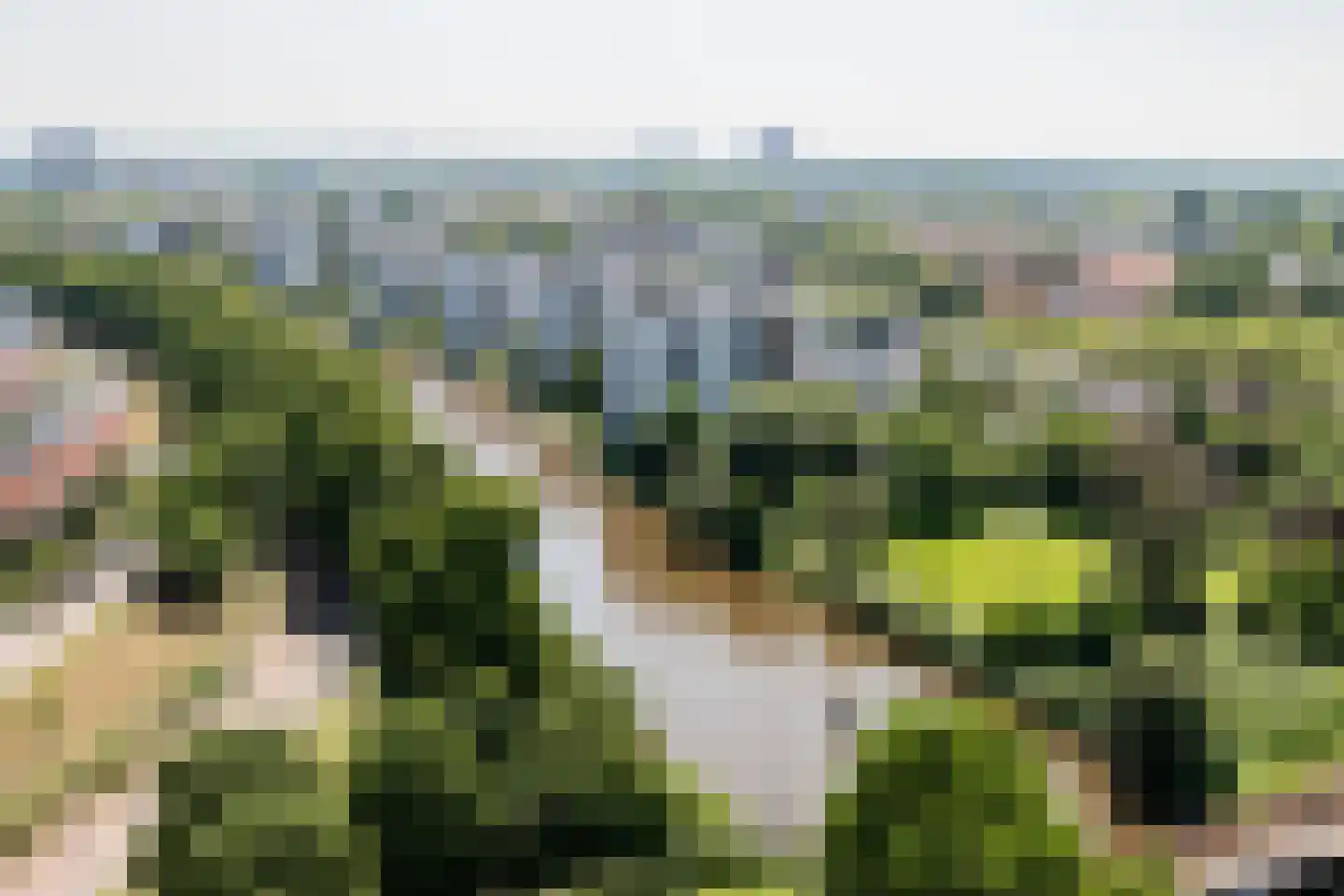 Perseusstraat 122 Groningen thumbnail 34