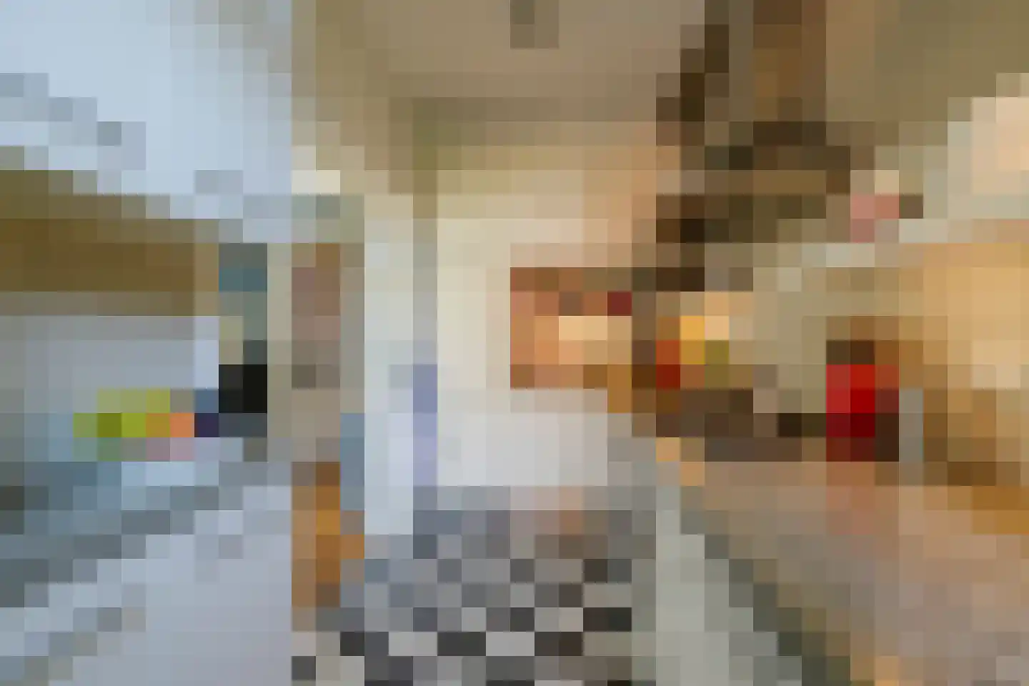 Perseusstraat 9 Haarlem thumbnail 18