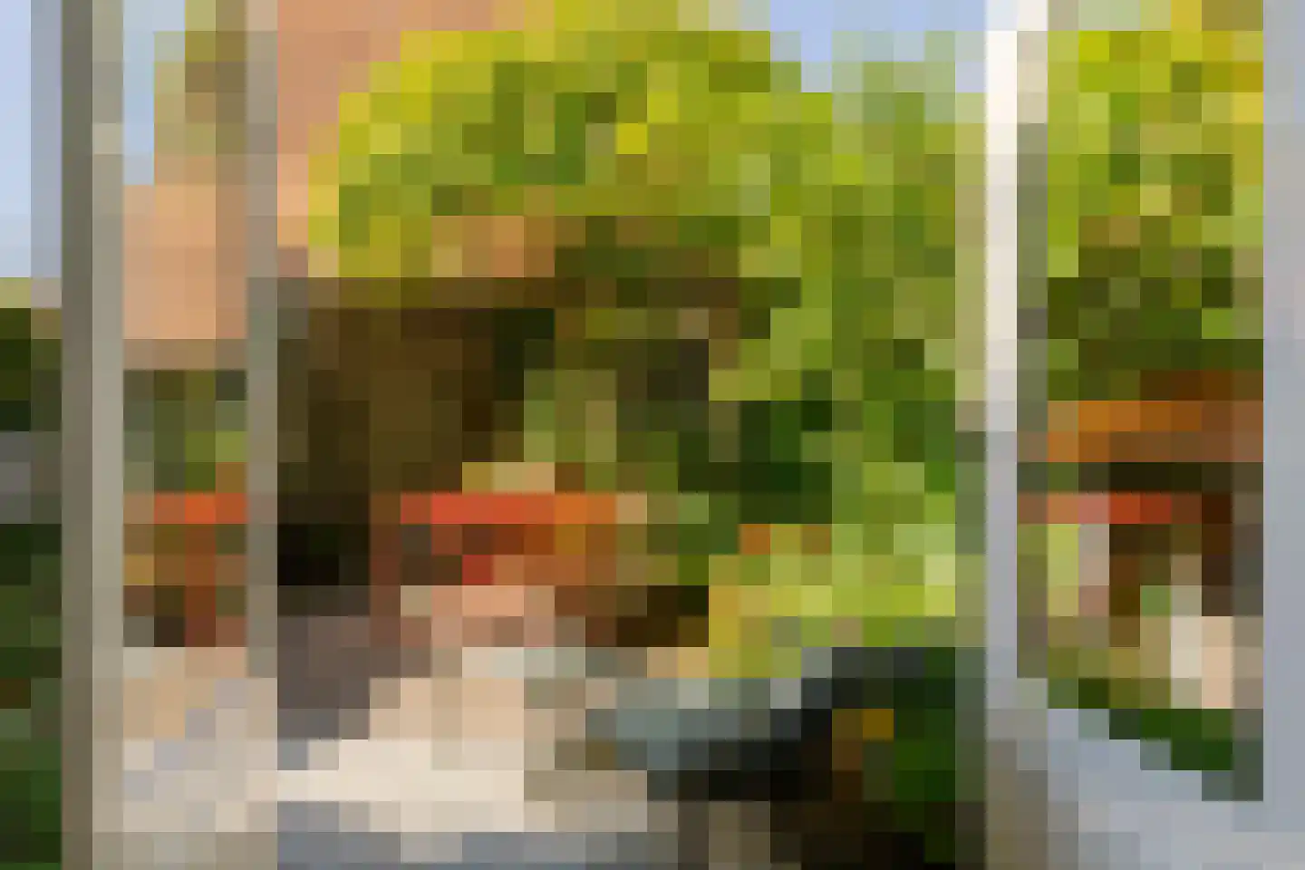 Perseusstraat 9 Haarlem thumbnail 20