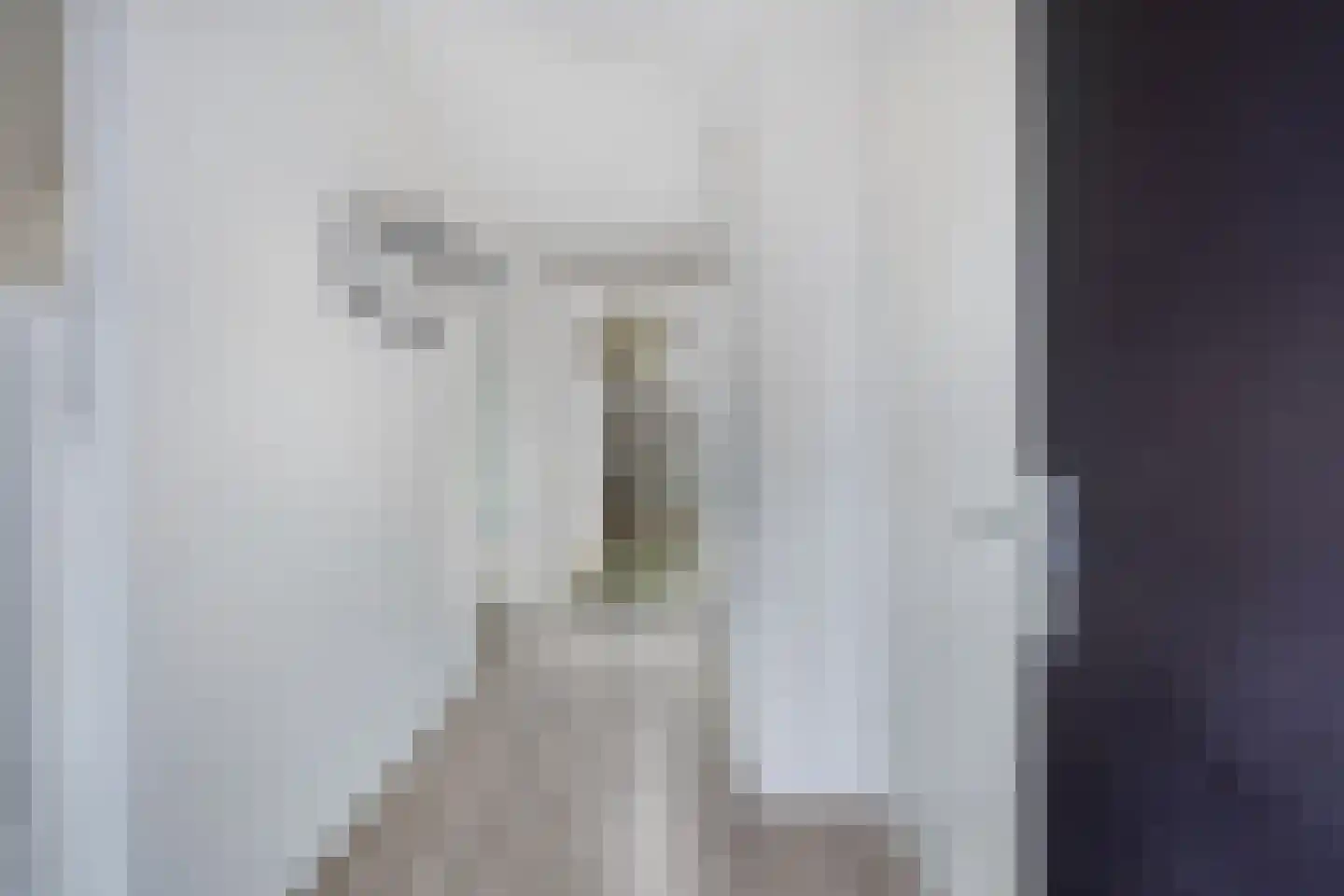 Persglashof 11 Eindhoven thumbnail 11