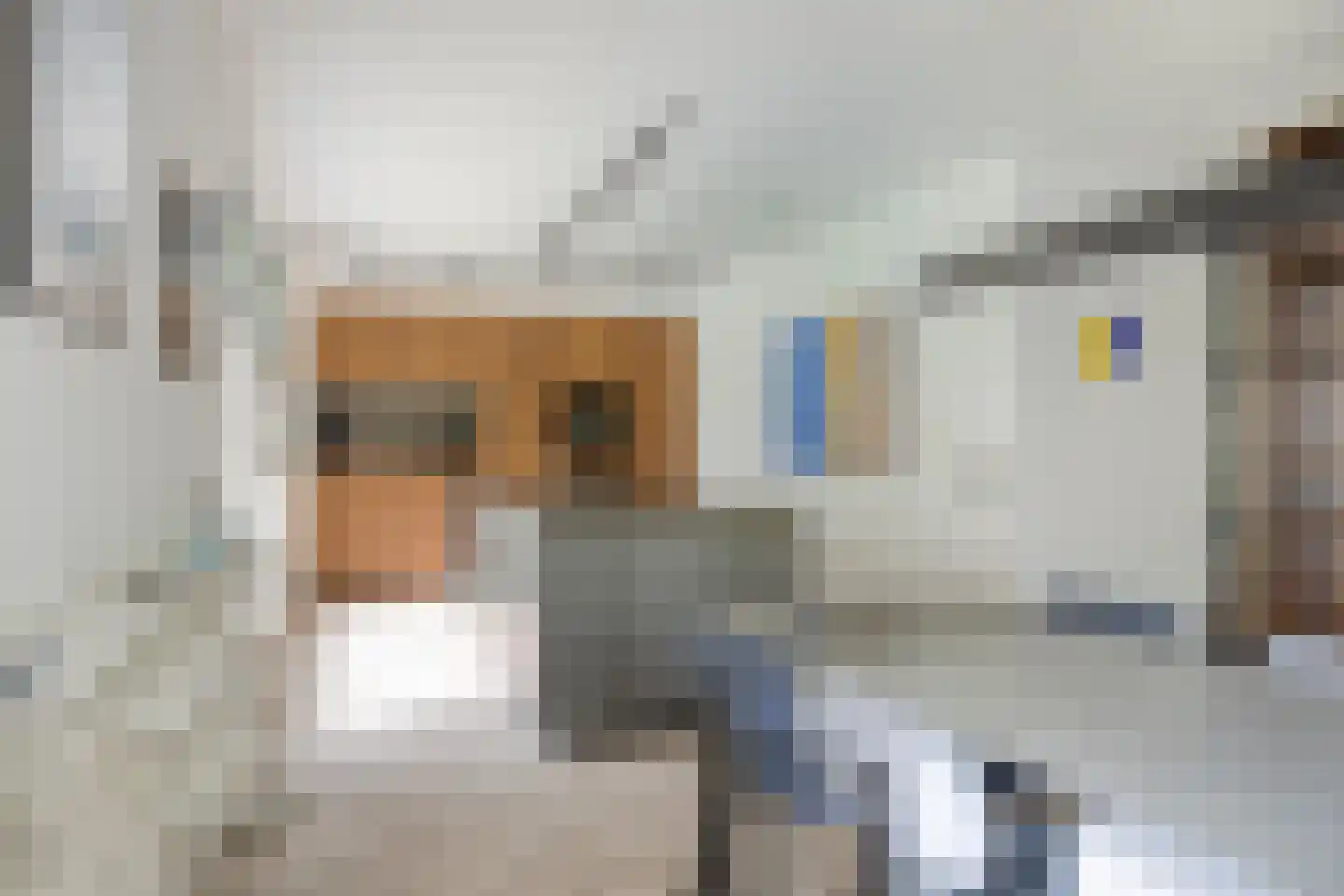 Persglashof 12 Eindhoven thumbnail 17