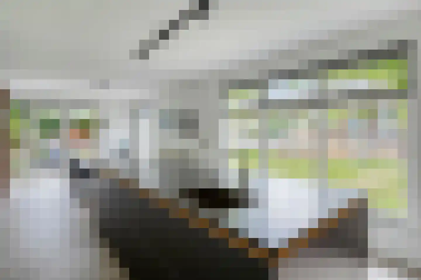 Persglashof 12 Eindhoven thumbnail 19
