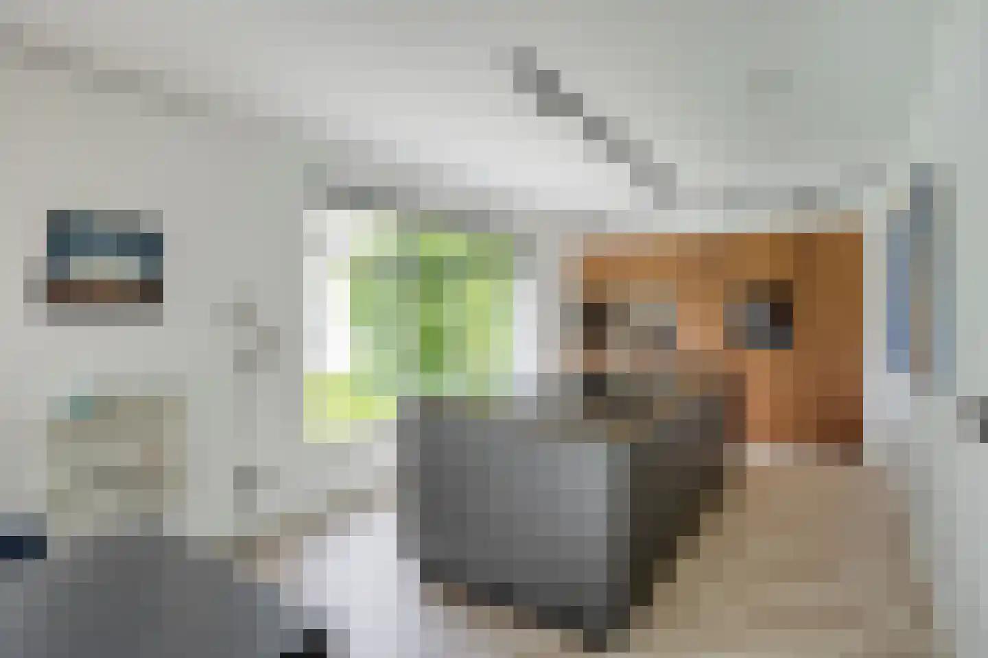 Persglashof 12 Eindhoven thumbnail 20