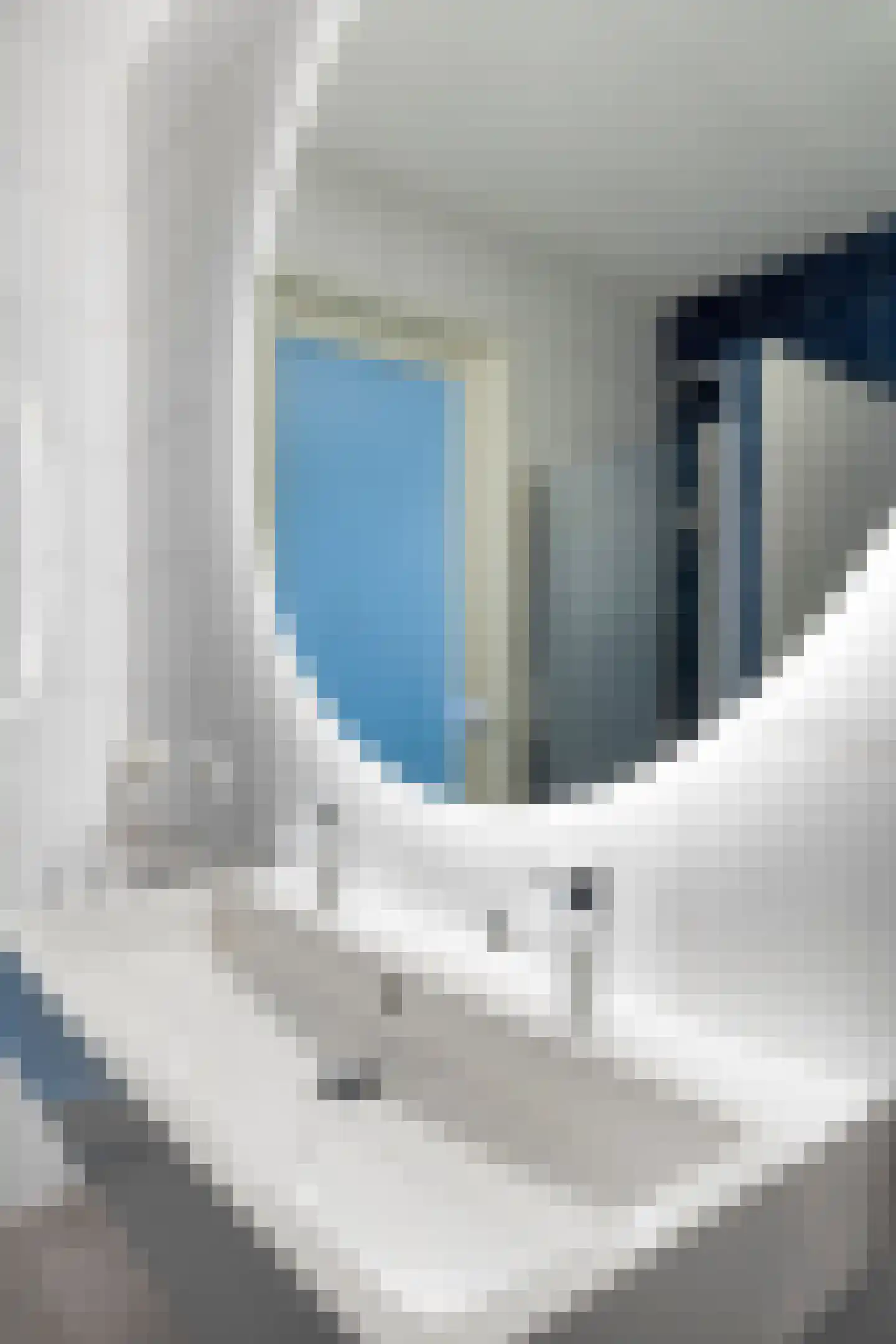 Persglashof 12 Eindhoven thumbnail 37