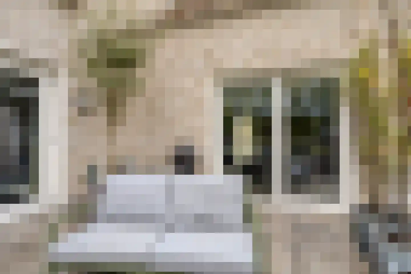 Persglashof 12 Eindhoven thumbnail 43