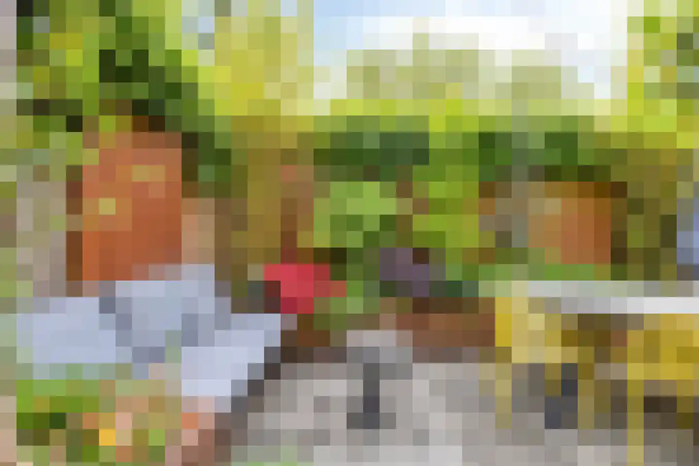Persglashof 12 Eindhoven thumbnail 57