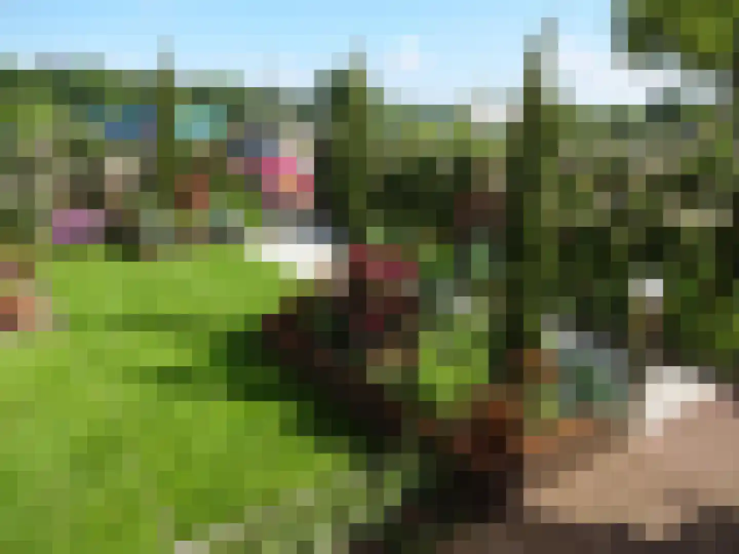 Persglashof 12 Eindhoven thumbnail 62