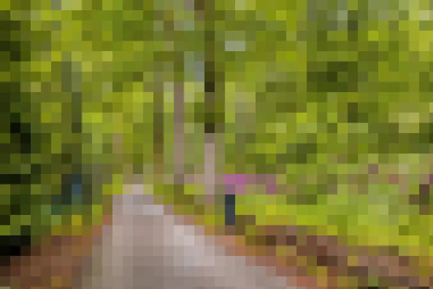 Persglashof 12 Eindhoven thumbnail 71