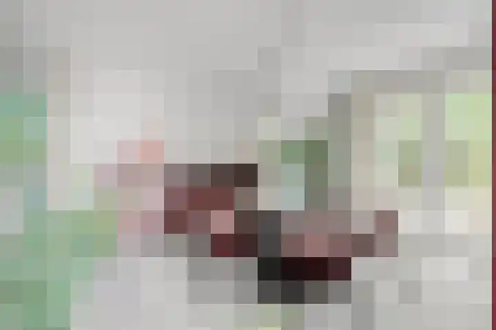Persglashof 2 Eindhoven thumbnail 16