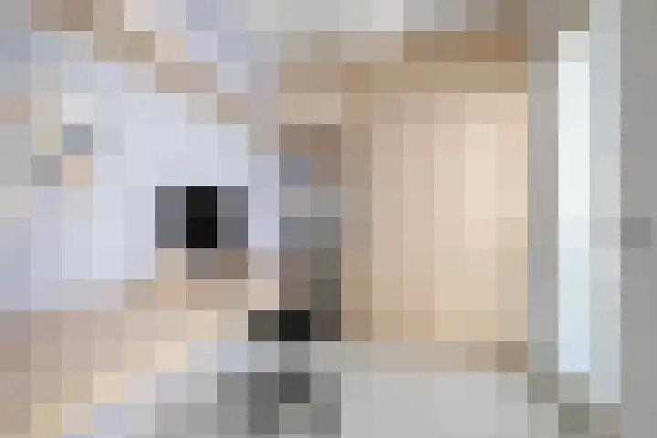 Persglashof 2 Eindhoven thumbnail 35
