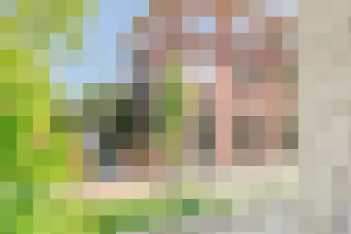 Persglashof 2 Eindhoven thumbnail 39