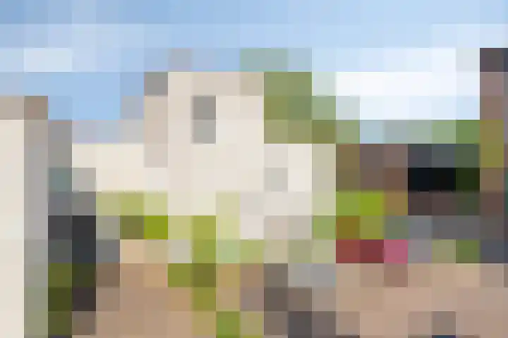 Persglashof 2 Eindhoven thumbnail 4