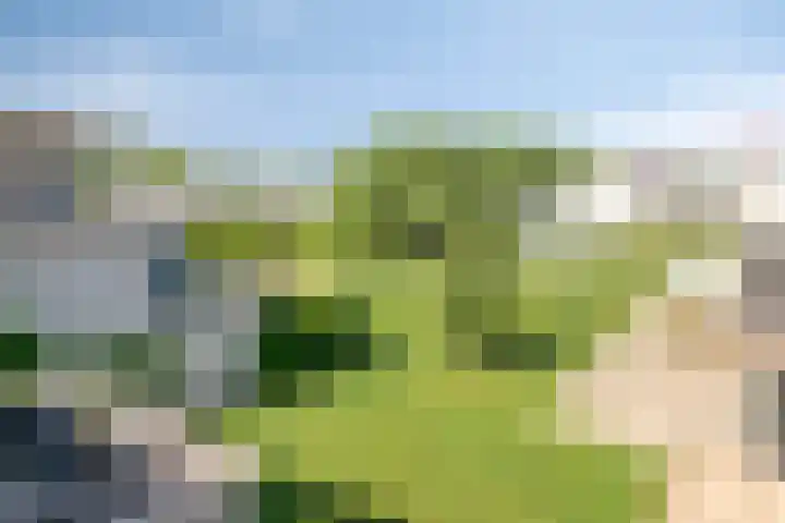 Persglashof 2 Eindhoven thumbnail 45
