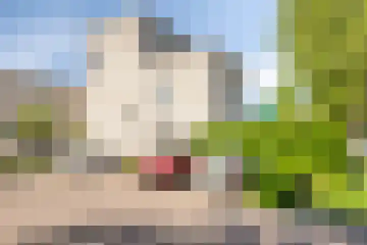 Persglashof 2 Eindhoven thumbnail 5