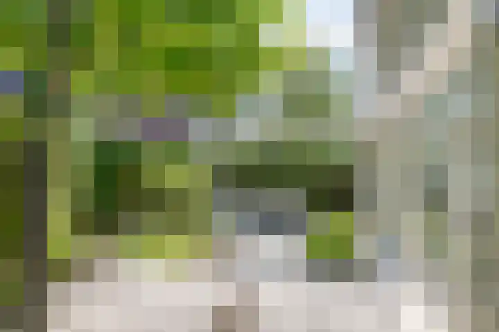 Persglashof 2 Eindhoven thumbnail 50