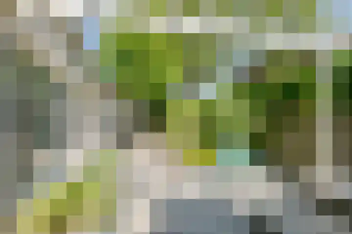 Persglashof 2 Eindhoven thumbnail 52