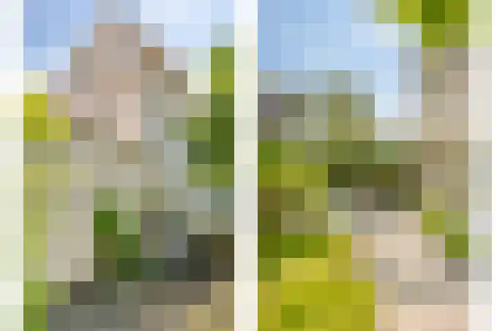Persglashof 2 Eindhoven thumbnail 53