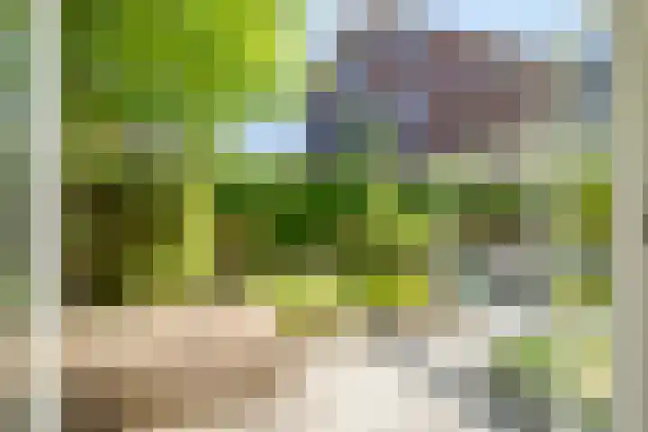 Persglashof 2 Eindhoven thumbnail 54