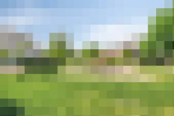 Persglashof 2 Eindhoven thumbnail 56