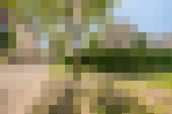 Persglashof 2 Eindhoven thumbnail 59