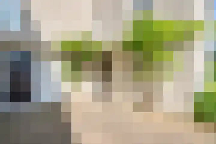 Persglashof 2 Eindhoven thumbnail 6