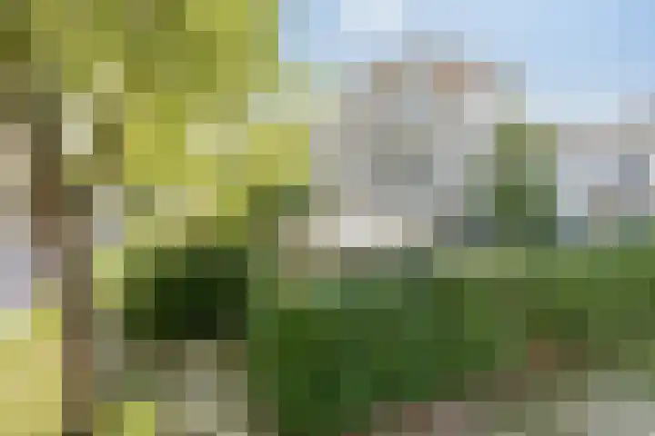 Persglashof 2 Eindhoven thumbnail 7