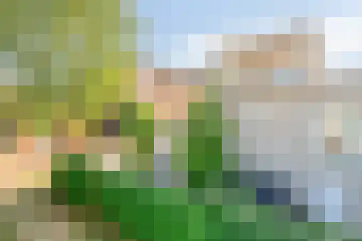 Persglashof 2 Eindhoven thumbnail 8