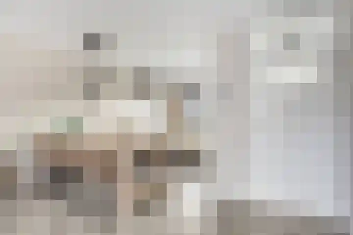 Persijnlaan 3 Purmerend thumbnail 11