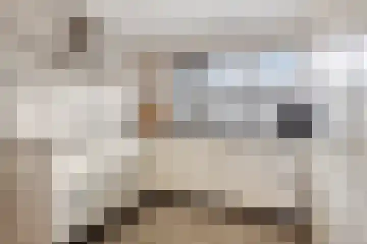 Persijnlaan 3 Purmerend thumbnail 13